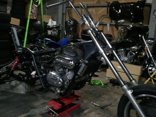 magna1004.jpg